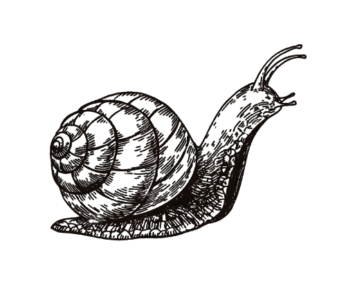 Caracol