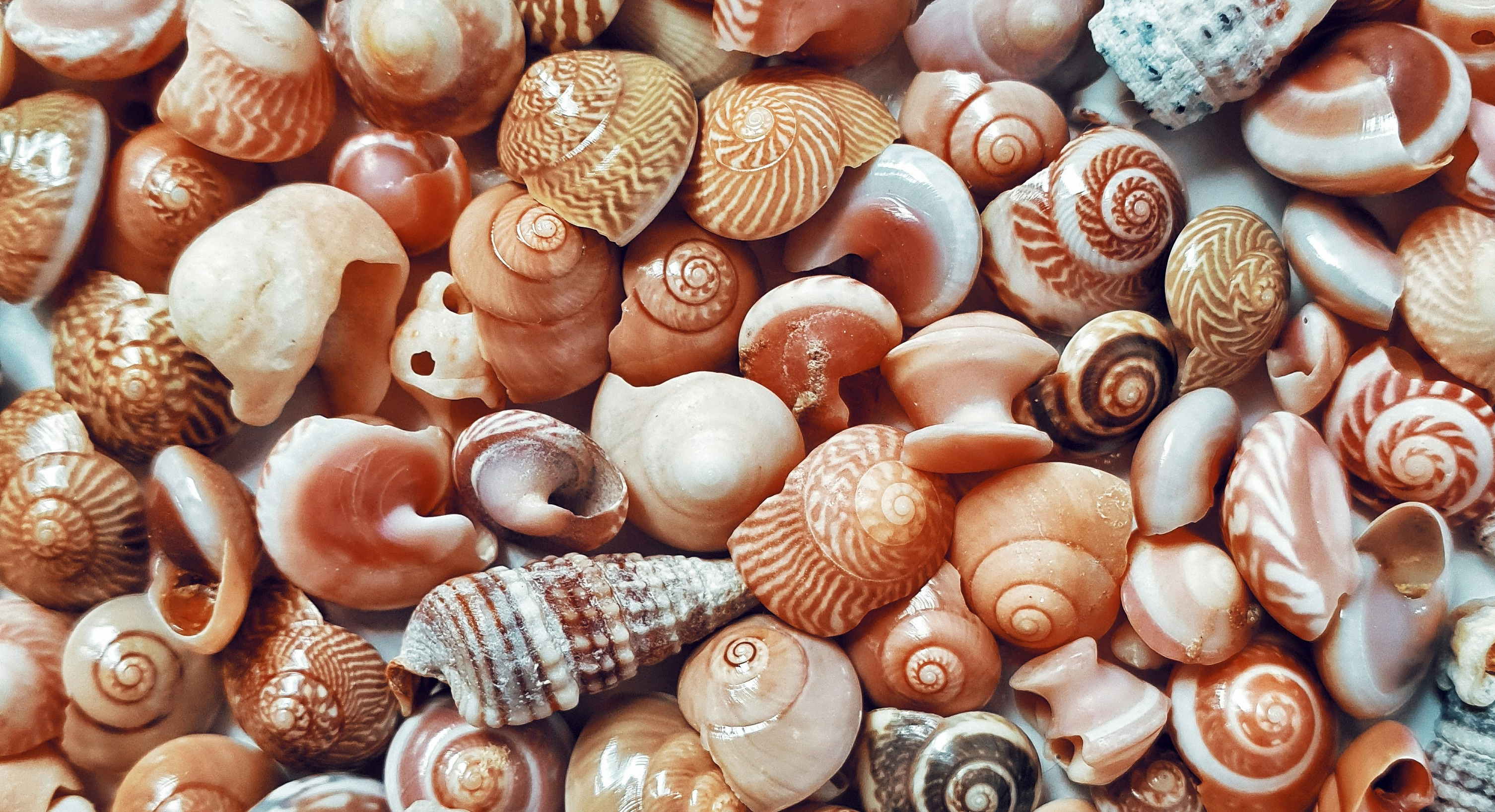 Hasan almasi rpvbfsaam9g unsplash 2 